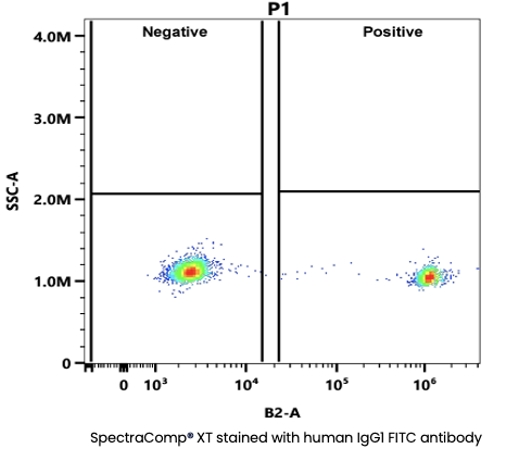 SpectraComp® XT stained with human IgG1 FITC antibody
