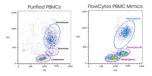 FlowCytes® Non-Fixed WBC mimics