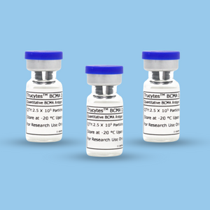 Quantitation Controls