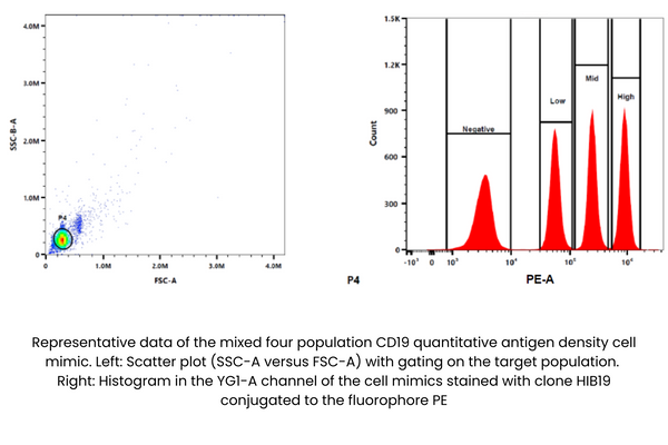 TruCytes™ CD19 Quantitative Antigen Density