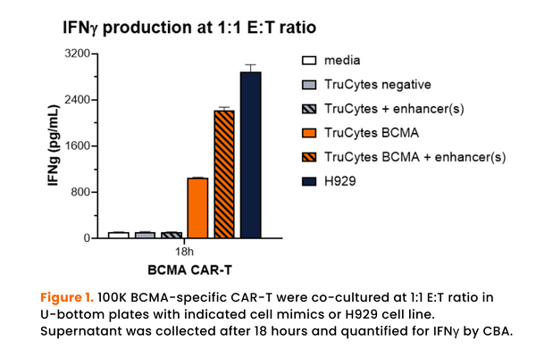 TruCytes™ Potency BCMA Evaluation Kit