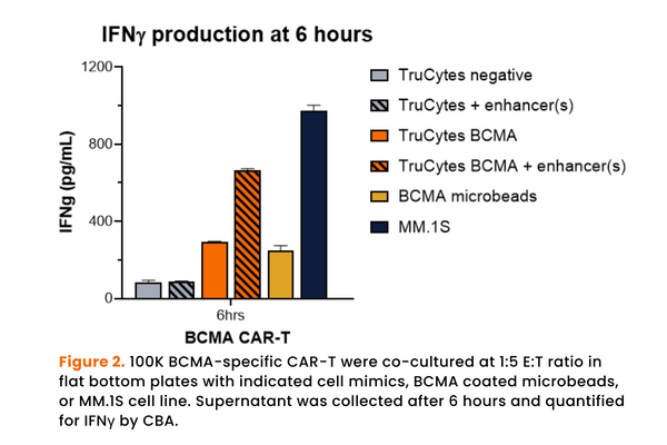 TruCytes™ Potency BCMA Evaluation Kit