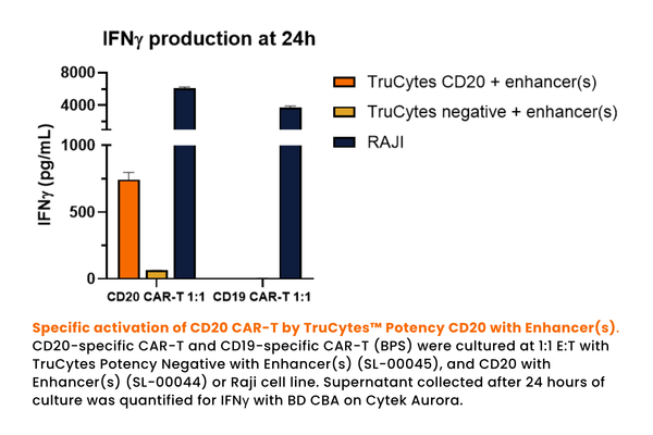 TruCytes™ Potency CD20 Evaluation Kit