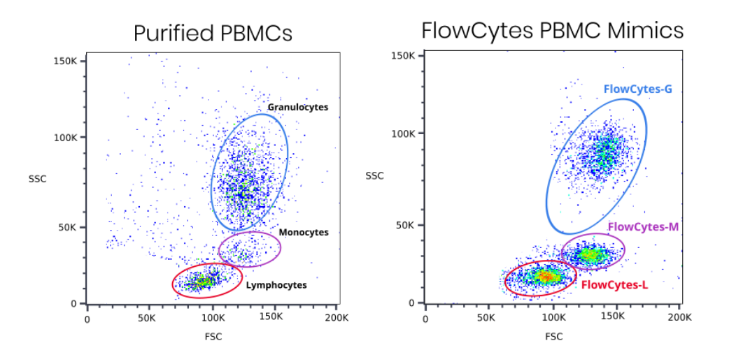 スモール・フェイセス オール・オア・ナッシング Small Faces - All or Nothing / Understanding (Promo) – NIGHT